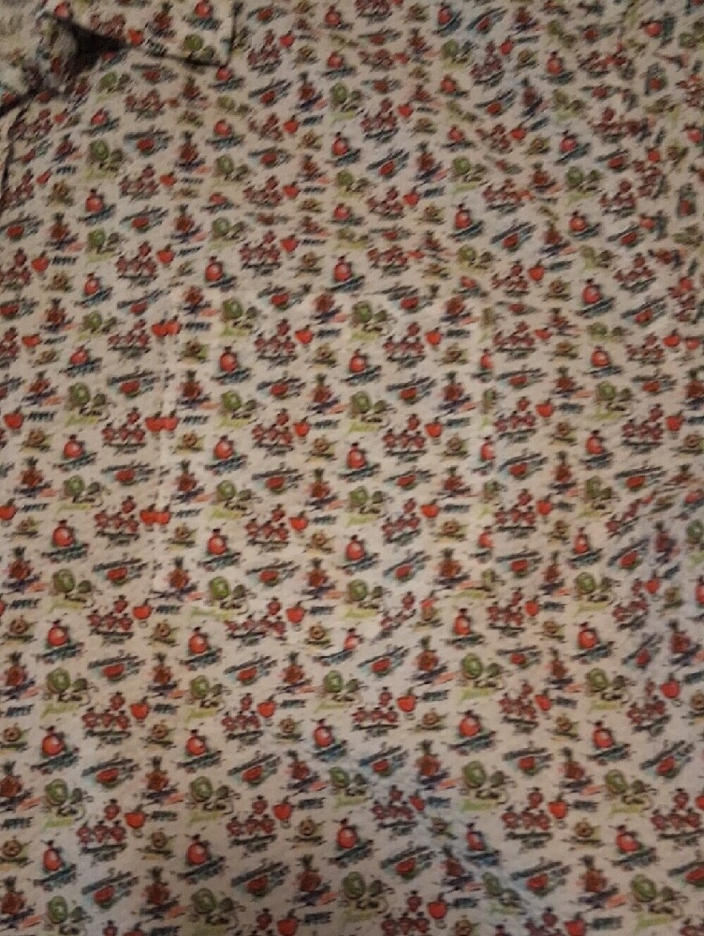 Haspel Seersucker Men’s Fruit-Print Casual Shirt - Picture 5 of 10
